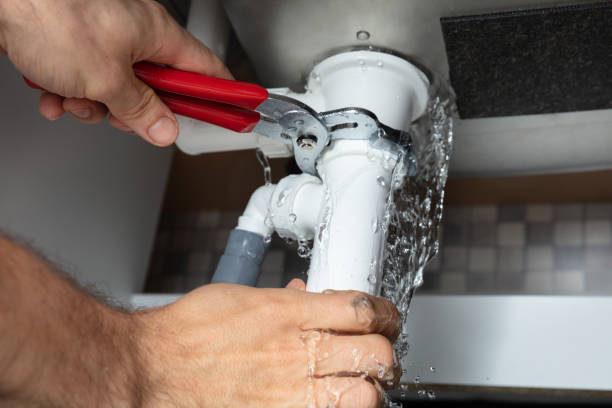 Best Flood restoration services  in Greenville, MI