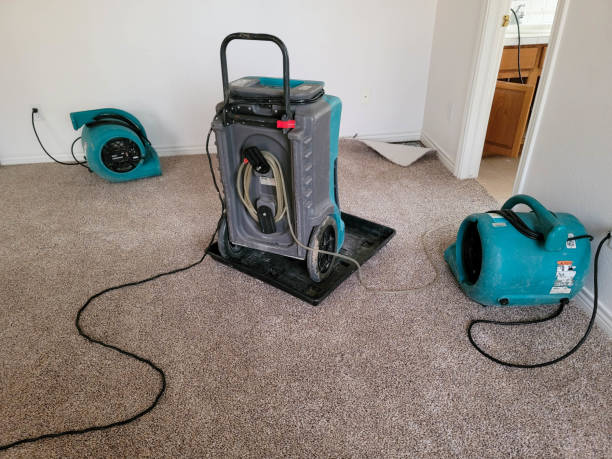 Best Mold removal after water damage  in Greenville, MI