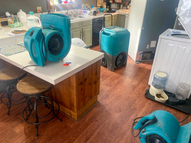 Best Sewage cleanup and water damage restoration  in Greenville, MI