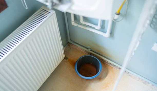 Best Mold removal after water damage  in Greenville, MI