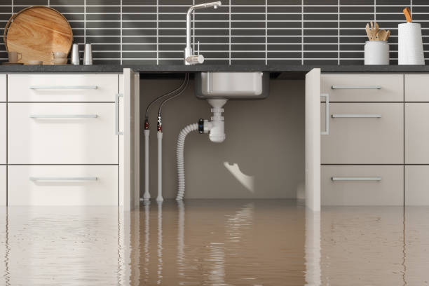 Best Water damage cleanup near me  in Greenville, MI