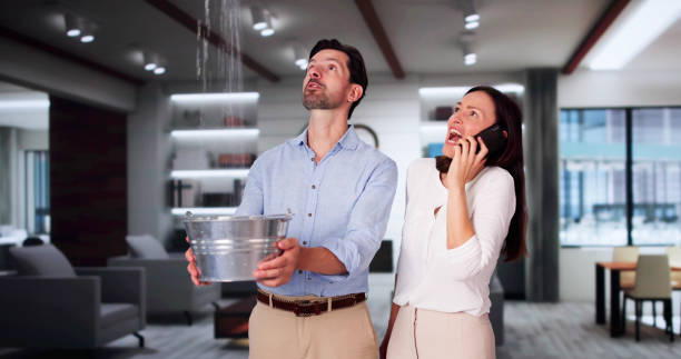 Best Commercial water damage restoration  in Greenville, MI