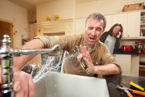 Best 24/7 water damage repair  in Greenville, MI